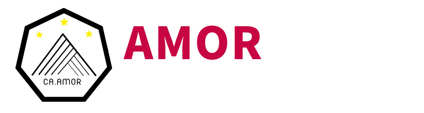 AMOR SOCCER SCHOOL CLUB